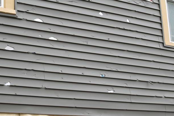 Best Brick Veneer Siding  in Hillsdale, NJ