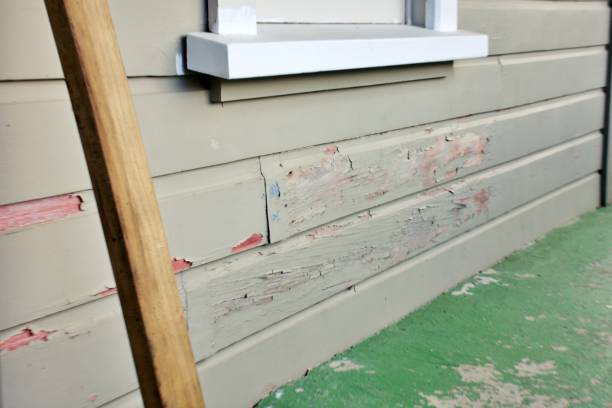 Best Engineered Wood Siding  in Hillsdale, NJ